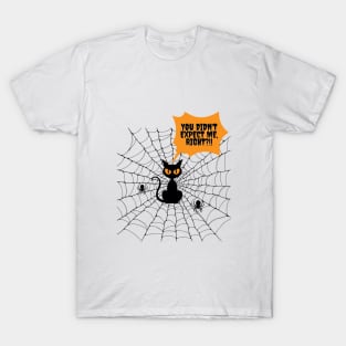 Spooky Cat Web, funny design T-Shirt